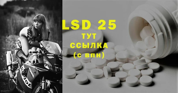 первитин Богданович