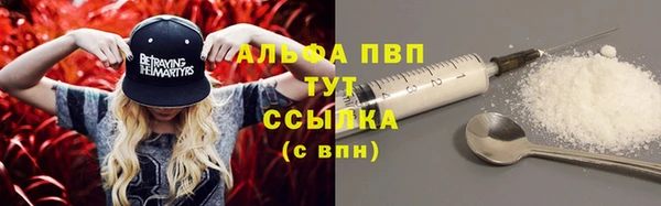 первитин Богданович