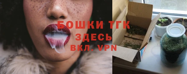первитин Богданович