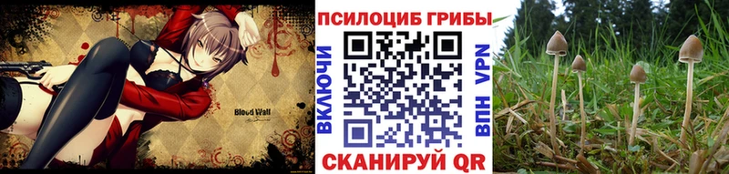 Галлюциногенные грибы GOLDEN TEACHER  даркнет Telegram  Нахабино 